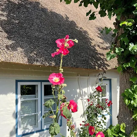 Luettliv-huus I Wyk auf Föhr